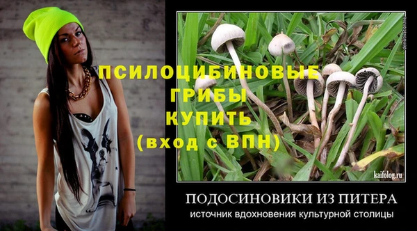 прущий лед Алексеевка