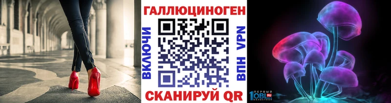 Псилоцибиновые грибы Cubensis  Чистополь 