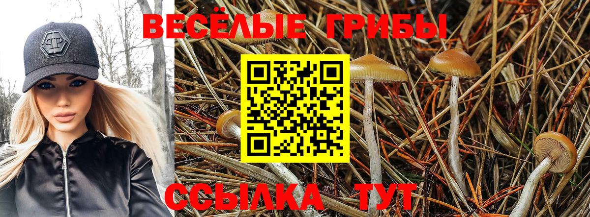 Галлюциногенные грибы ЛСД  Вход с VPN  Чистополь 